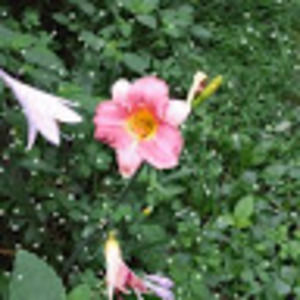 Meet your Posher, Julie